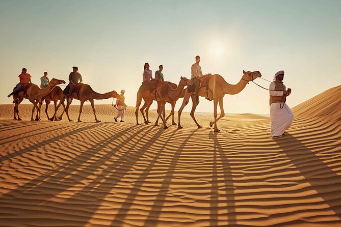 Half-Day Private Safari Tour With Camel Ride, Dune Bashing, Star Gazing - Pricing Details