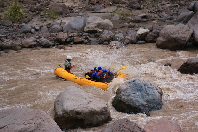 Half-Day Rafting Adventure on the Mendoza River - Tour Highlights