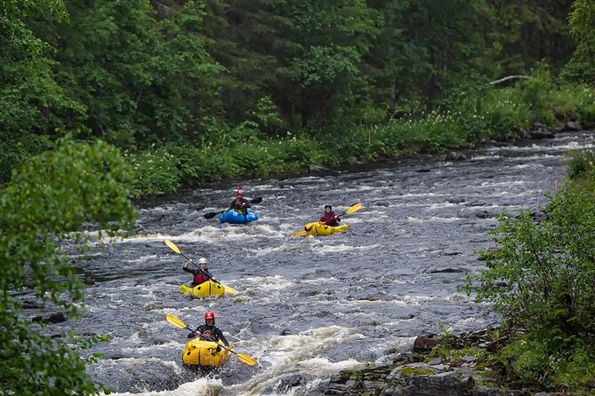 Half-Day Rafting to Västerdal River With Lunch - Key Points