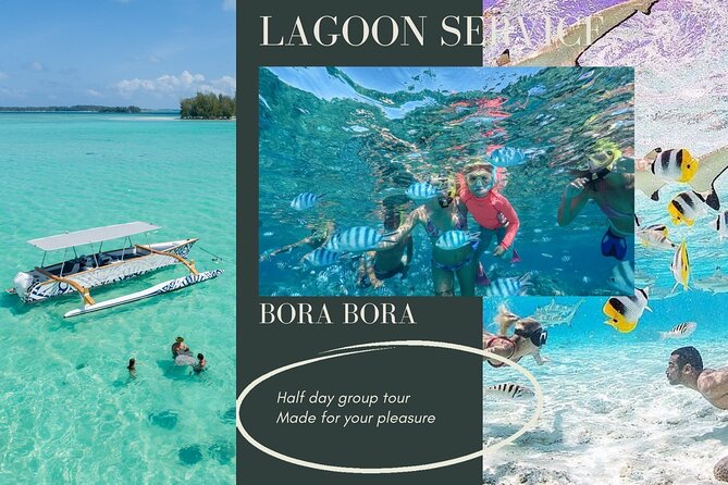 Half-Day Small-Group Cruise in Bora Bora With Snorkelling - Key Points