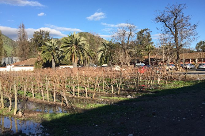 Half-Day Small-Group Santa Rita Vineyard Tour - Key Points