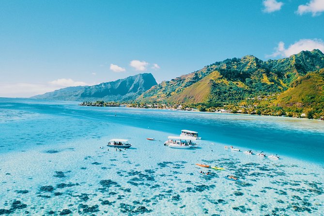 Half Day Snorkeling in Moorea - Key Points