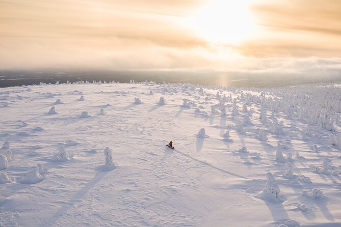 Half-Day Snowmobile Tour in Lapland - Tour Overview