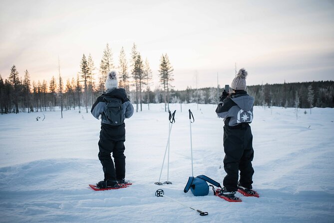 Half Day Snowshoe Hiking Adventure in Levi Lapland - Booking Confirmation and Accessibility