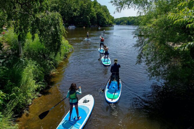 Half-day Stand Up Paddle Tour of Stockholm. - Key Points