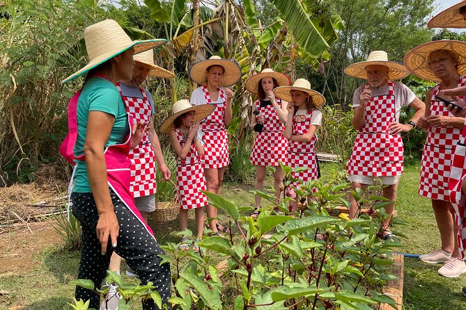 Half-Day Thai Cooking Class at Organic Farm in Chiang Mai - Key Points