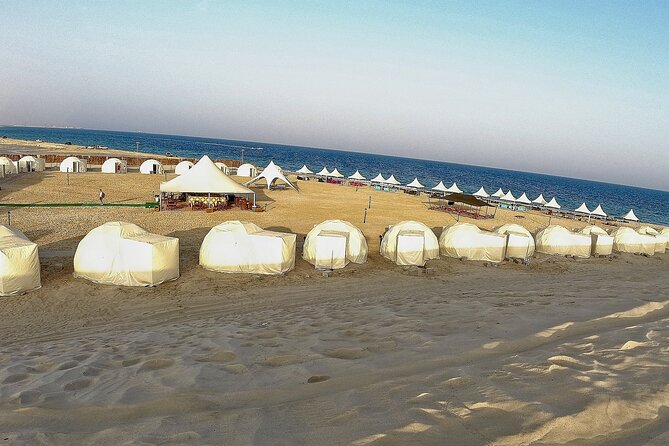 Half Day Tour in Sealine Beach With 1 Hour Camel Ride - Key Points