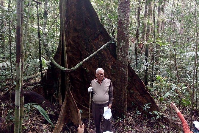Half Day Tour- Jaguar Jungle Survival - Amazon Rainforest - From Manaus - Experience Details