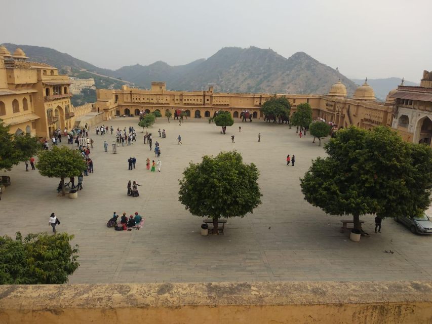 Half Day Tour Jaipur City With Pink City Guide - Key Points