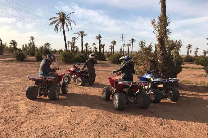 Half Day Tour Quad In Palm Golve , Desert ,Marrakech - Key Points