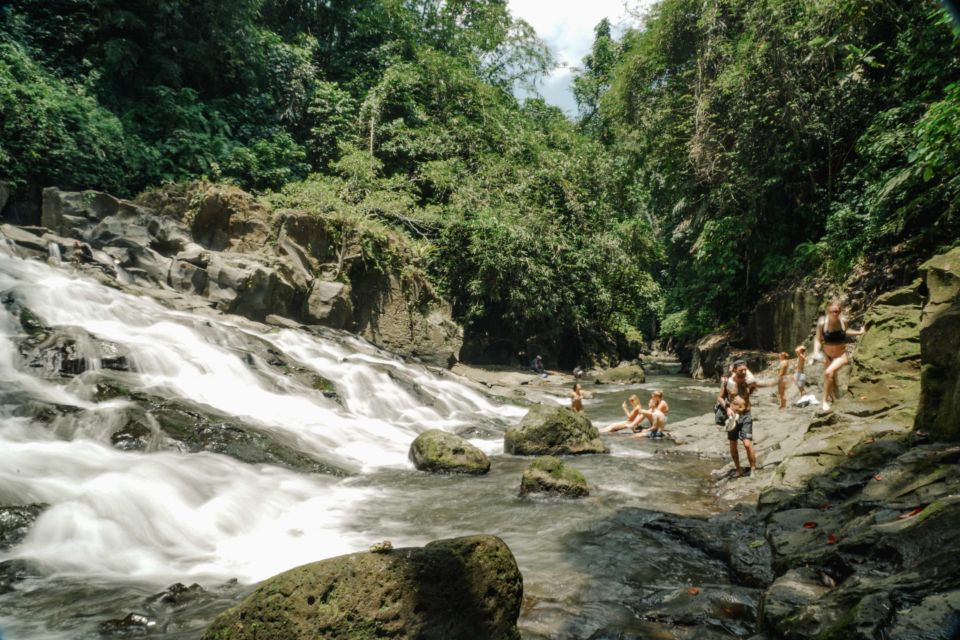 Half-Day Ubud Waterfall Tours - Key Points