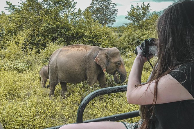 Half Day Udawalawe Safari (Entrance Lunch) - Key Points