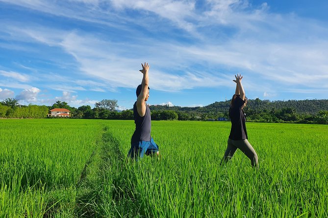 Half-Day Yoga, Meditation, and Thai Cultural Immersion in Chiang Mai - Key Points