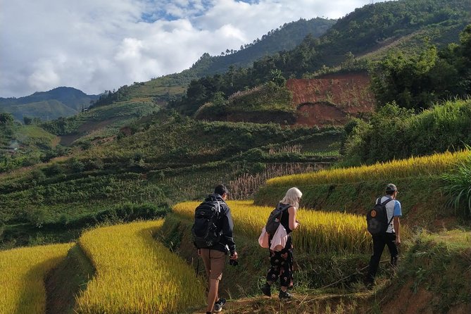 Halfday Trekking Mu Cang Chai - Key Points