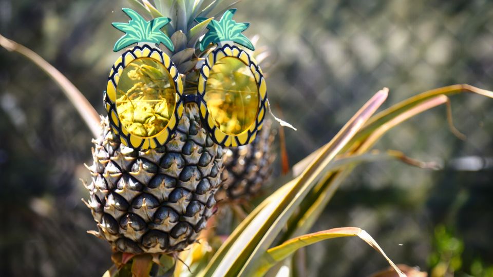 Hali'imaile: Pineapple Farm Tour - Key Points