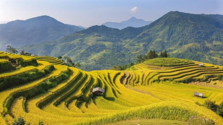 Hanoi: 2-Day Ta Van & Sapa Trek With Local Guide & Homestay - Key Points