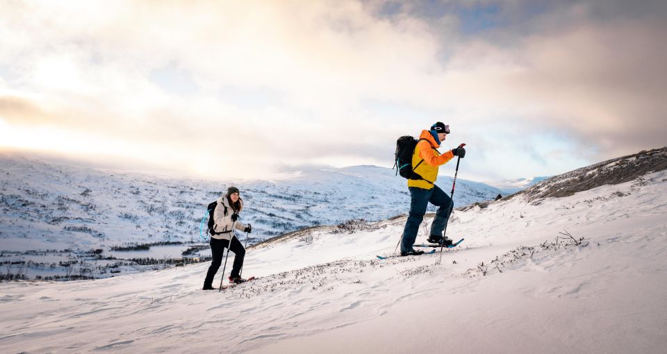 Hardangerfjord: Exclusive Snowshoe Hike With Majestic Views - Key Points