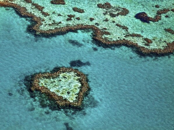 Heart Reef & Whitehaven Rest and Relax - 2.5Hr Helicopter Tour - Key Points
