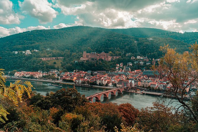 Heidelberg Castle and City Day Tour From Frankfurt - Key Points