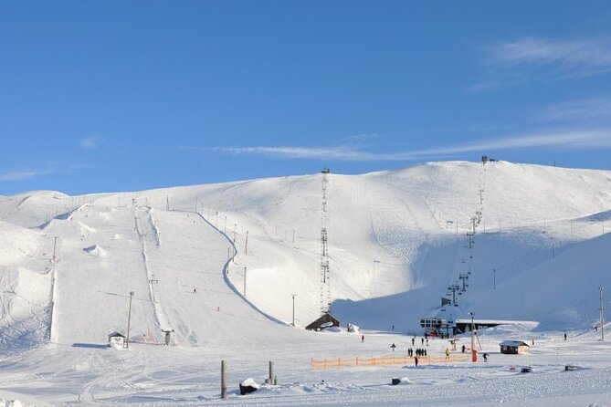 Helicopter Tour From Reykjavik: Hengill Area With at Site Landing - Key Points