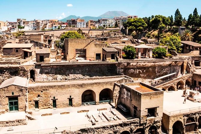 Herculaneum Ruins Private Half-Day Tour - Key Points