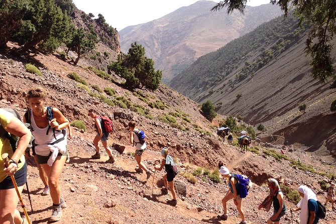 High Atlas Mountains Full Day Trek - Key Points