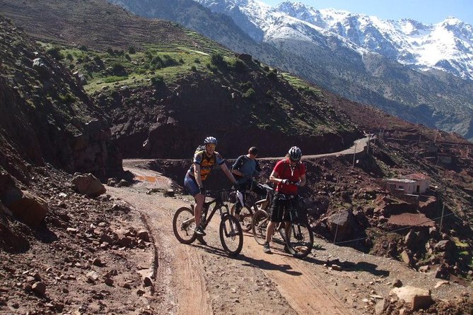 High Atlas Small-Group Bike Day Trip From Marrakech  - Central Morocco - Key Points