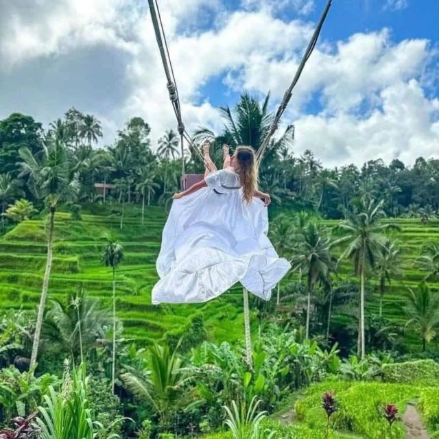 Highlight Ubud Waterfalls and Tegalalang Rice Terrace - Key Points