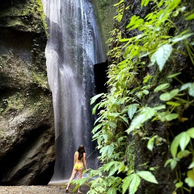 Highlights Besakih Temple, Waterfall, Swing and Rice Terrace - Key Points