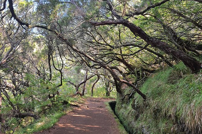 Hike 25 Fontes & Risco Levada Self-Guided - Trail Overview