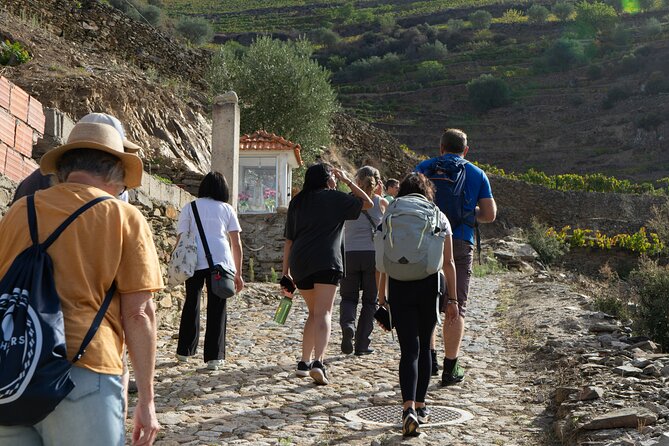 HIKE at DOURO VALLEY W/ Winery Visit and Tasting - Tour Highlights