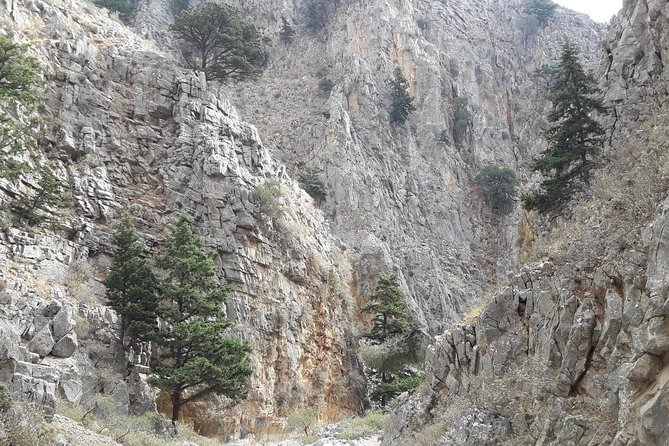 Hike Imbros Gorge and Beach Private Tour (Price per Group of 6) - Key Points