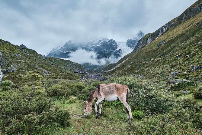 Hike the Heart of Nepal: Langtang Valley 7-Day Trek - Key Points