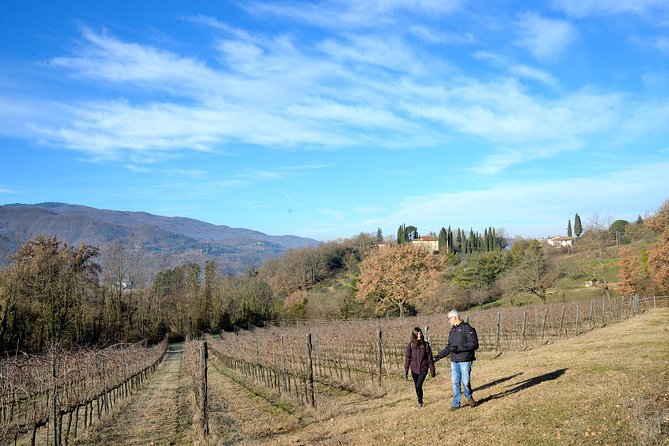 Hike & Wine Tour - Key Points