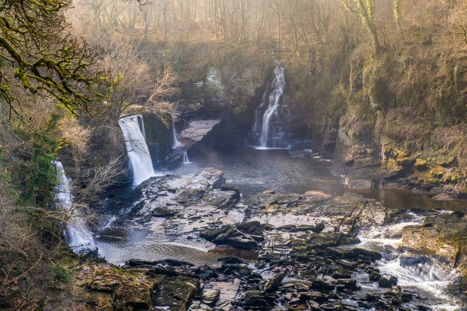 Hike World Heritage Reserve Waterfalls - Key Points