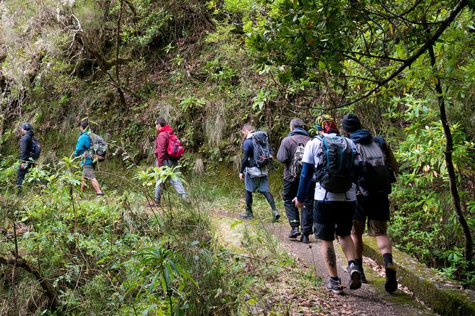 Hiking and Trekking Tours in Madeira - Key Points