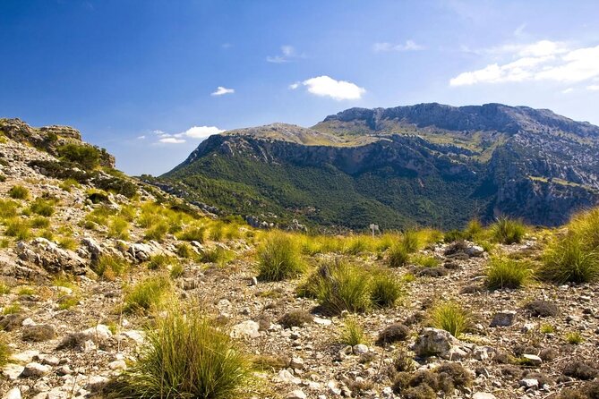 Hiking Private Tour in Pollensa - Key Points