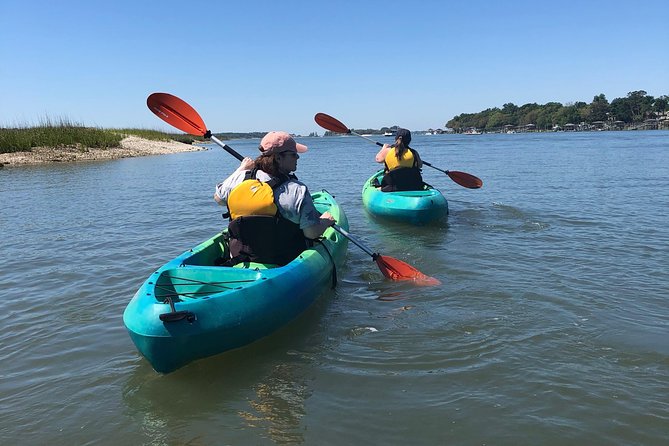 Hilton Head Guided Kayak Eco Tour - Key Points