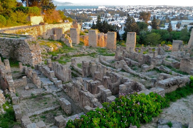 Historical Tour of Ancient Carthage - Key Points