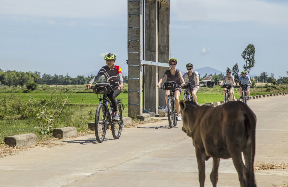 Hoi An: Morning Countryside Tour by Bike - Key Points