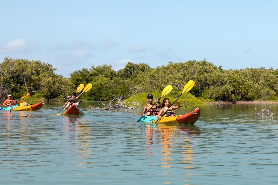 Holbox: Guided Kayaking Through Holbox's Mangroves - Cancellation Policy