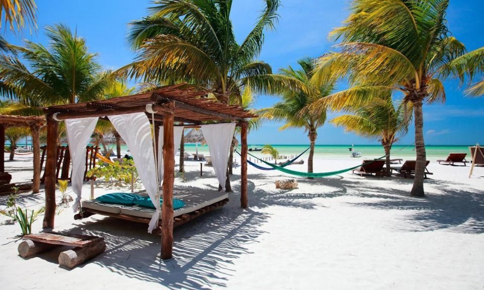 Holbox Island Day Trip With Boat Tour & Lunch - Key Points