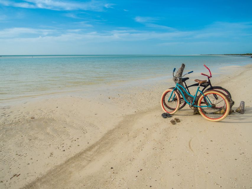 Holbox Island Discovery Tour With Transfer - Key Points