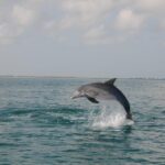 Holbox: Three Islands Tour