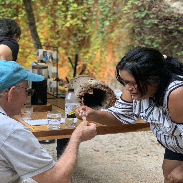 Honey Tasting Stingless Bees From Merida, Yucatan - Key Points