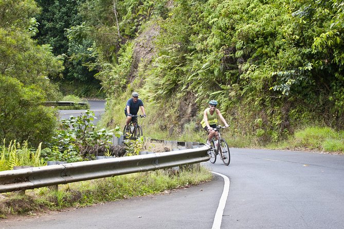 Honolulu Downhill Bike and Waterfall Hike Tour - Key Points