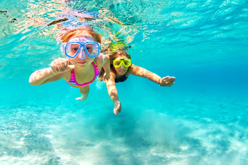 Honolulu: Waikiki Turtle Snorkeling Tour & 30ft Jump - Key Points