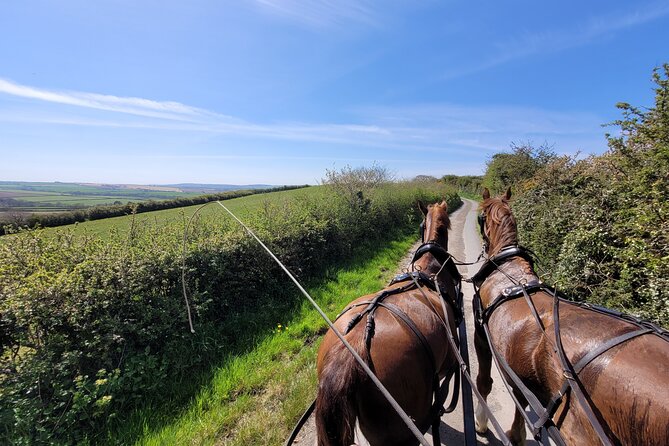 Horse Drawn Countryside Tours - Key Points