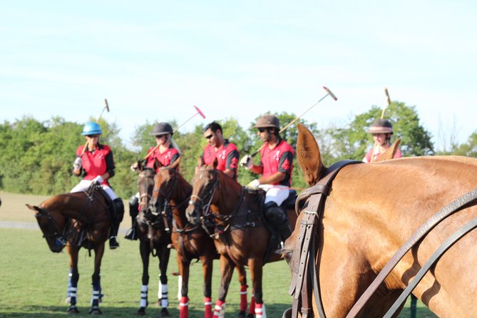 Horse & Polo in Windsor, UK - Key Points
