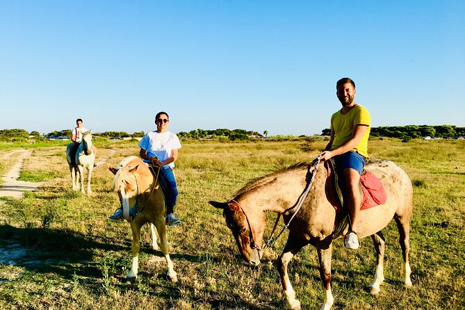 Horse Ride in a Salento Nature Reserve With Transfer From Lecce - Key Points